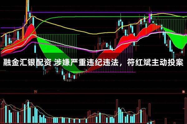 融金汇银配资 涉嫌严重违纪违法，符红斌主动投案
